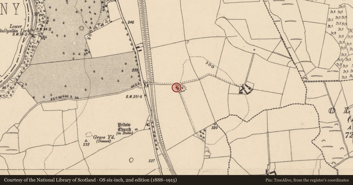 Ordnance Survey six-inch map, 2nd edition (1888–1915) covering the location of Enclosure, Ballyellin And Tomdarragh, County Carlow, with a pin at the register's coordinates