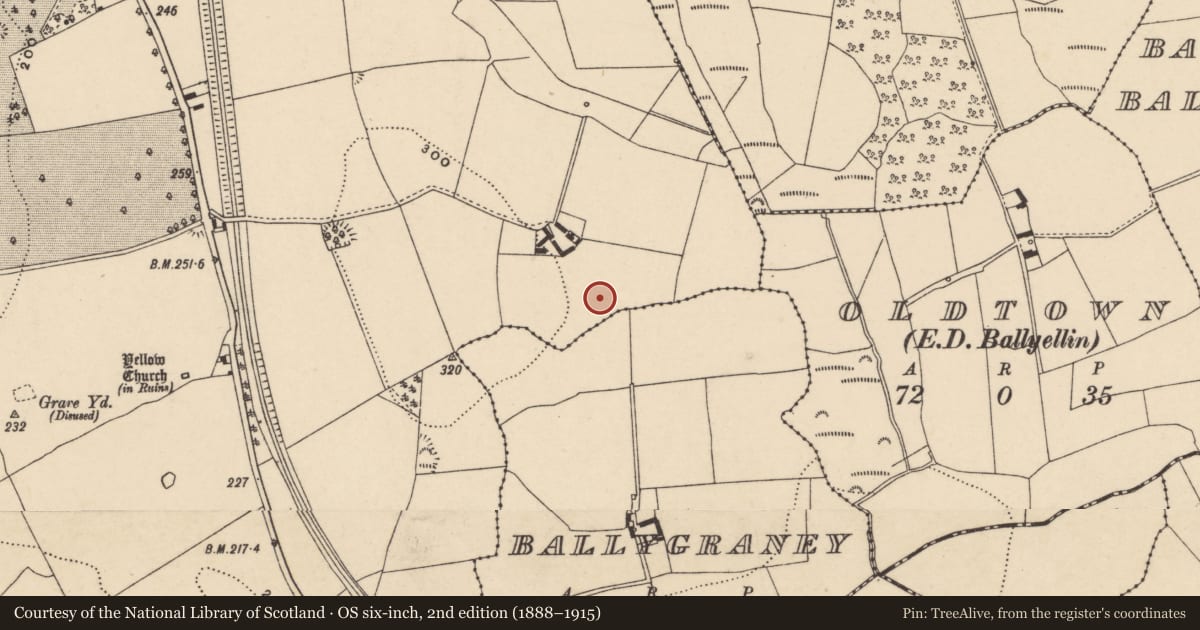 Ordnance Survey six-inch map, 2nd edition (1888–1915) covering the location of Enclosure, Ballyellin And Tomdarragh, County Carlow, with a pin at the register's coordinates