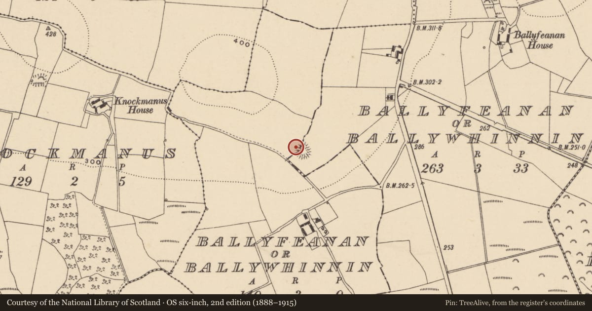 Ordnance Survey six-inch map, 2nd edition (1888–1915) covering the location of Enclosure, Ballyfeanan Or Ballywhinnin, County Carlow, with a pin at the register's coordinates