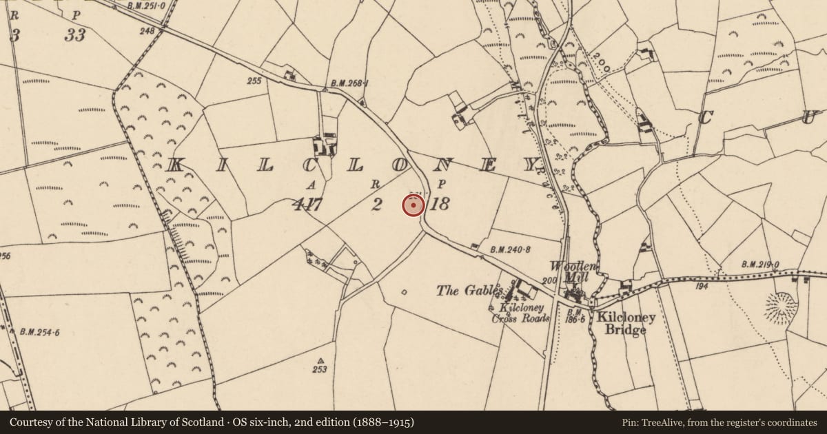Ordnance Survey six-inch map, 2nd edition (1888–1915) covering the location of Burial ground, Kilcloney, County Carlow, with a pin at the register's coordinates
