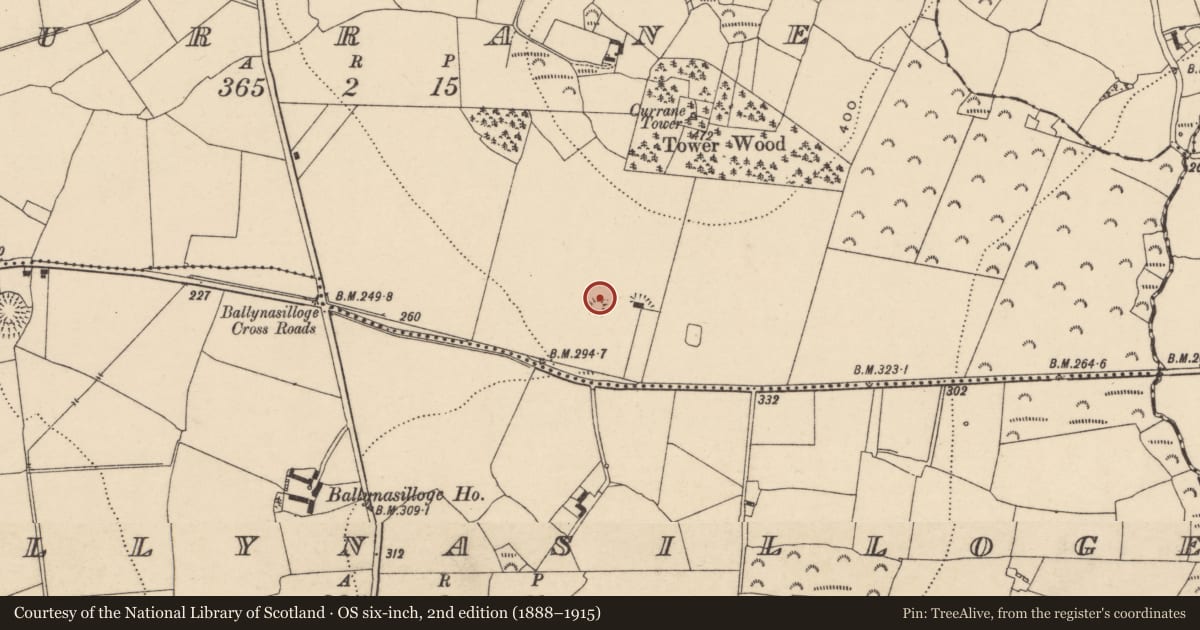 Ordnance Survey six-inch map, 2nd edition (1888–1915) covering the location of Cairn - unclassified, Currane, County Carlow, with a pin at the register's coordinates