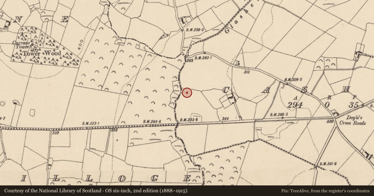 Ordnance Survey six-inch map, 2nd edition (1888–1915) covering the location of Ringfort - rath, Cashel, County Carlow, with a pin at the register's coordinates