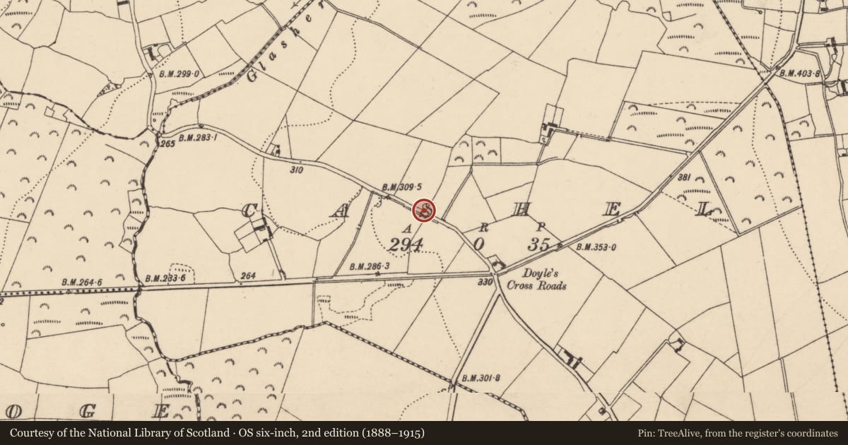 Ordnance Survey six-inch map, 2nd edition (1888–1915) covering the location of Ringfort - cashel, County Carlow, with a pin at the register's coordinates