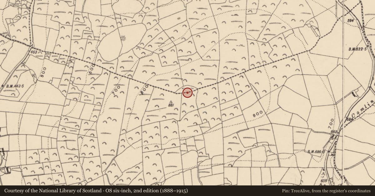 Ordnance Survey six-inch map, 2nd edition (1888–1915) covering the location of Hillfort, Killoughternane, Knocksquire Or Knockscur, County Carlow, with a pin at the register's coordinates