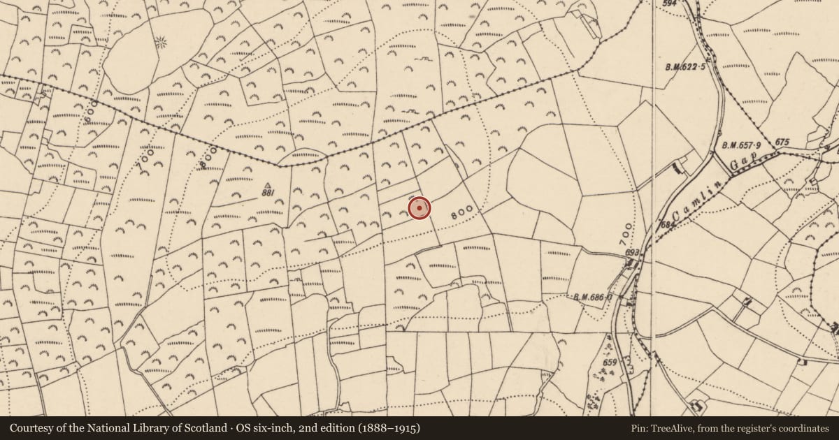 Ordnance Survey six-inch map, 2nd edition (1888–1915) covering the location of Standing stone, Knocksquire Or Knockscur, County Carlow, with a pin at the register's coordinates
