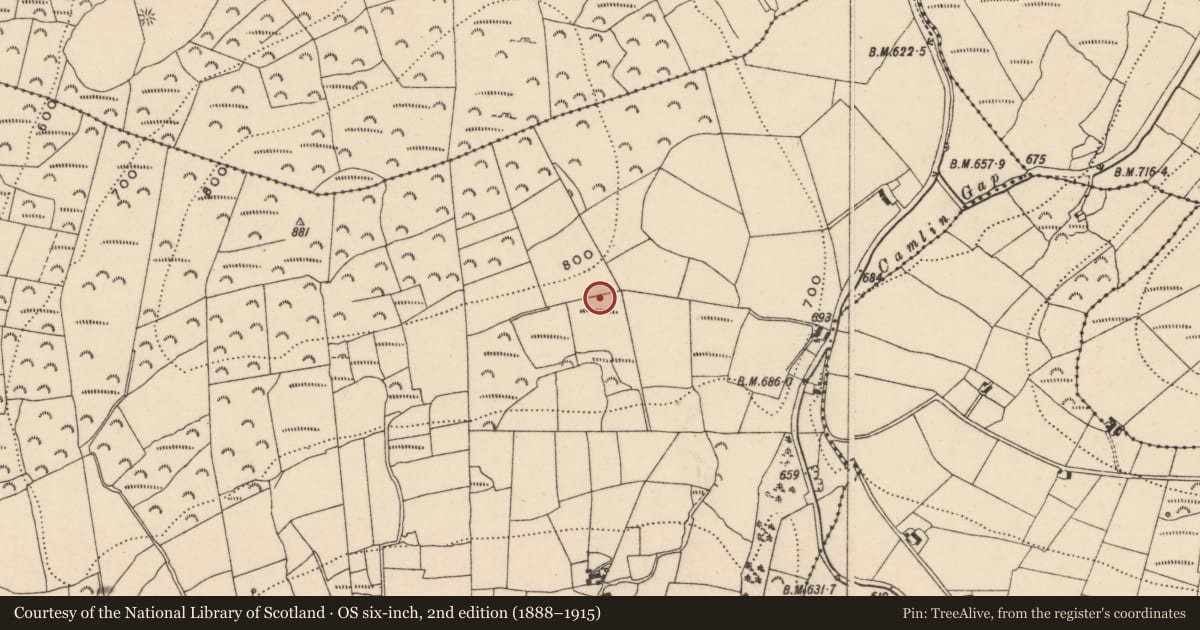 Ordnance Survey six-inch map, 2nd edition (1888–1915) covering the location of Standing stone, Knocksquire Or Knockscur, County Carlow, with a pin at the register's coordinates
