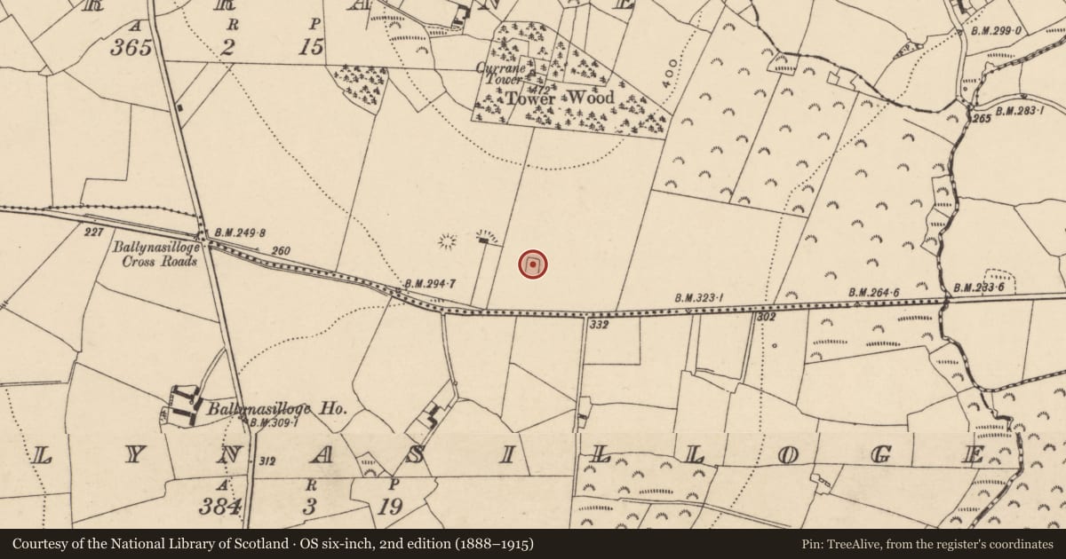 Ordnance Survey six-inch map, 2nd edition (1888–1915) covering the location of Enclosure, Currane, County Carlow, with a pin at the register's coordinates