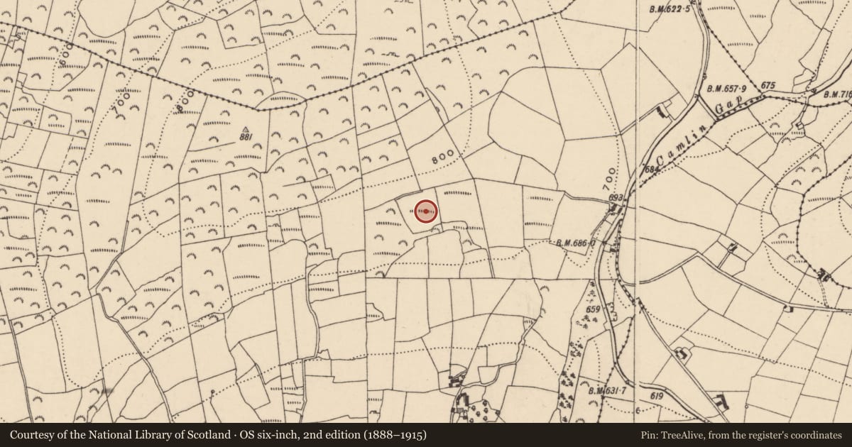 Ordnance Survey six-inch map, 2nd edition (1888–1915) covering the location of Enclosure, Knocksquire Or Knockscur, County Carlow, with a pin at the register's coordinates