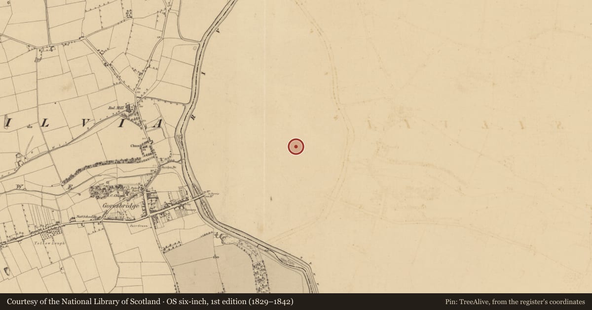 Ordnance Survey six-inch map, 1st edition (1829–1842) covering the location of Ringfort - rath, Ballyellin And Tomdarragh, County Carlow, with a pin at the register's coordinates