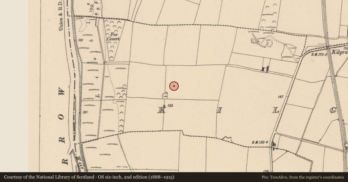 Ordnance Survey six-inch map, 2nd edition (1888–1915) covering the location of Enclosure, Kilgraney, County Carlow, with a pin at the register's coordinates