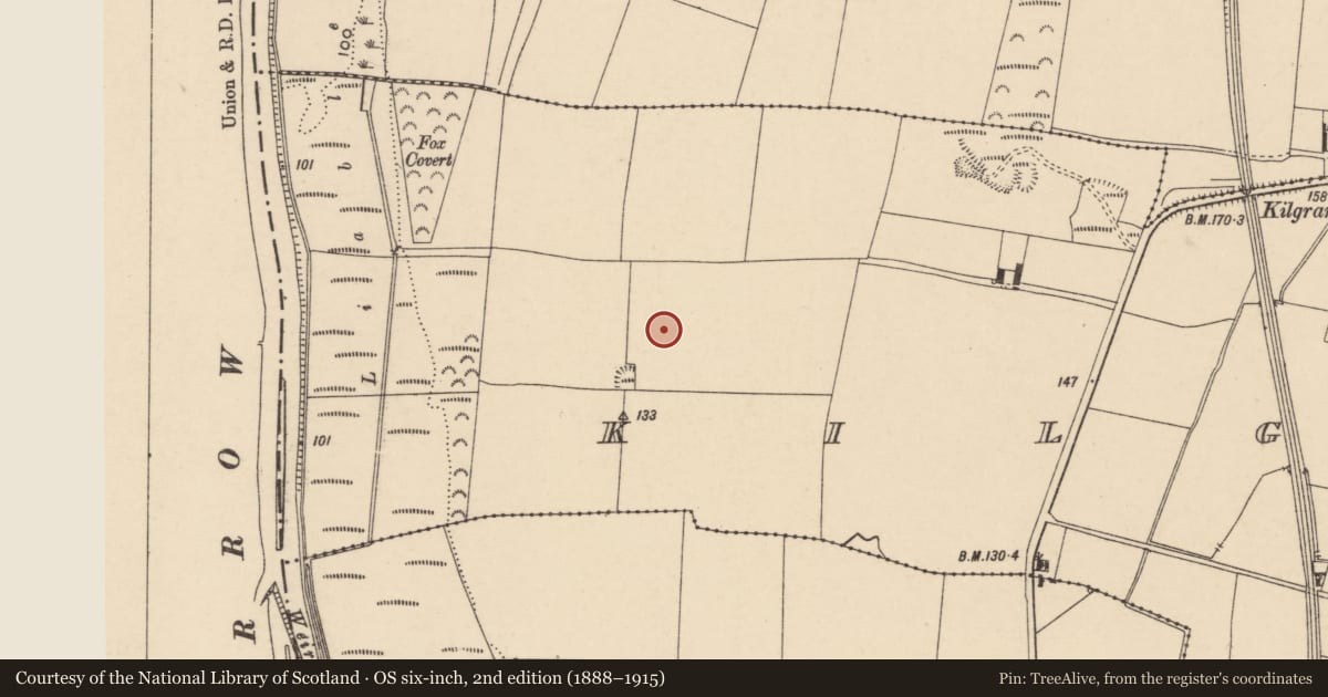 Ordnance Survey six-inch map, 2nd edition (1888–1915) covering the location of Ring-ditch, Kilgraney, County Carlow, with a pin at the register's coordinates