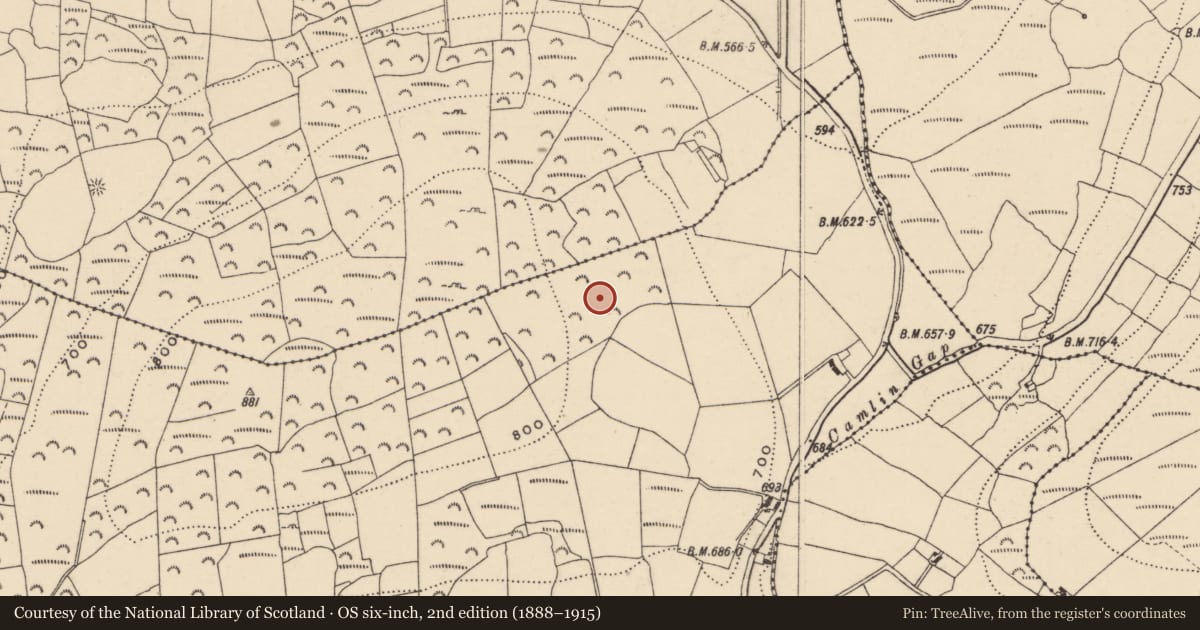 Ordnance Survey six-inch map, 2nd edition (1888–1915) covering the location of Hut site, Knocksquire Or Knockscur, County Carlow, with a pin at the register's coordinates
