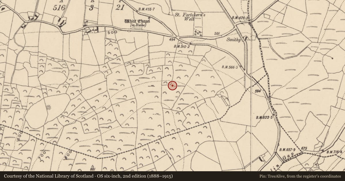Ordnance Survey six-inch map, 2nd edition (1888–1915) covering the location of Standing stone, Killoughternane, County Carlow, with a pin at the register's coordinates