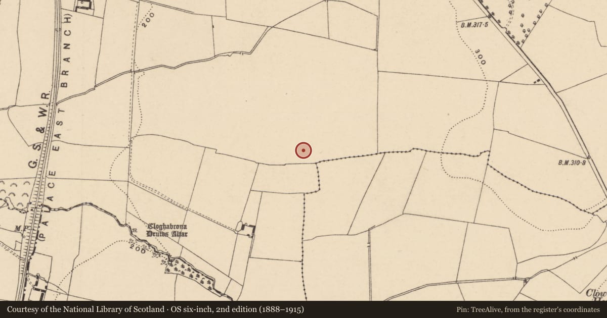 Ordnance Survey six-inch map, 2nd edition (1888–1915) covering the location of Cist, Kilgraney, County Carlow, with a pin at the register's coordinates