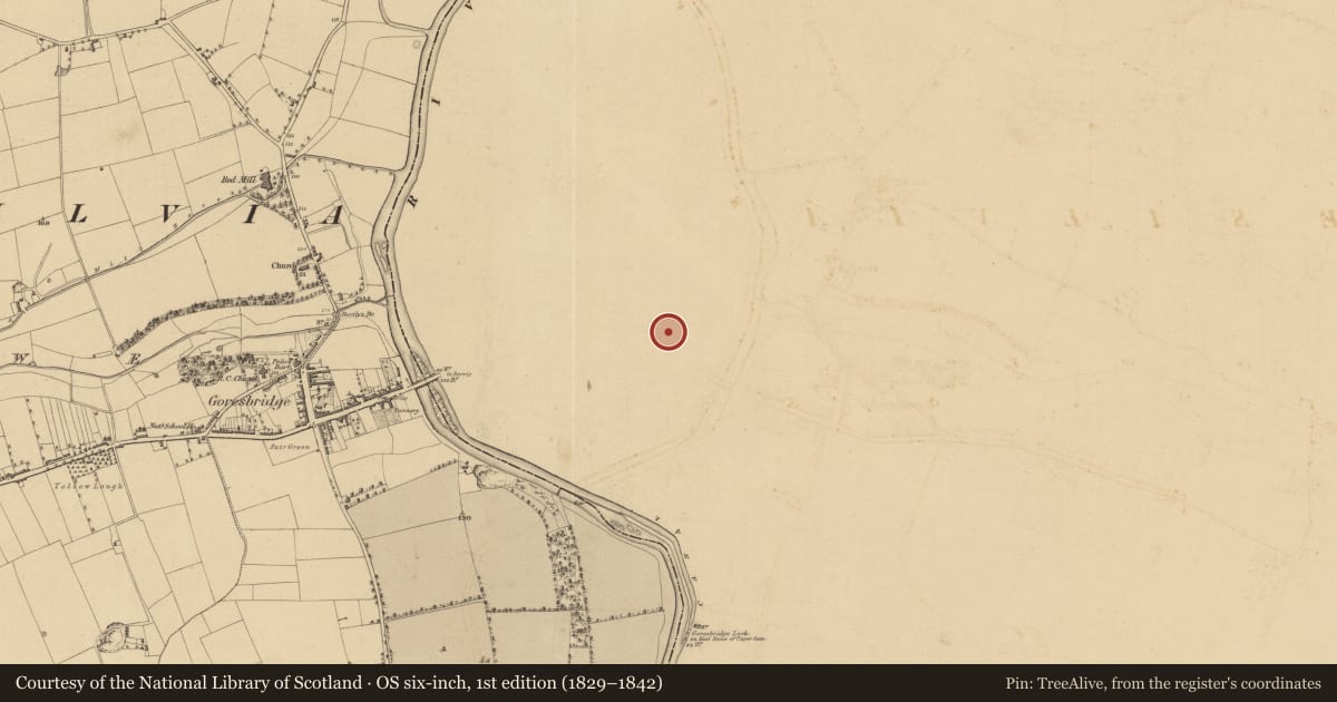Ordnance Survey six-inch map, 1st edition (1829–1842) covering the location of Field system, Ballyellin And Tomdarragh, County Carlow, with a pin at the register's coordinates
