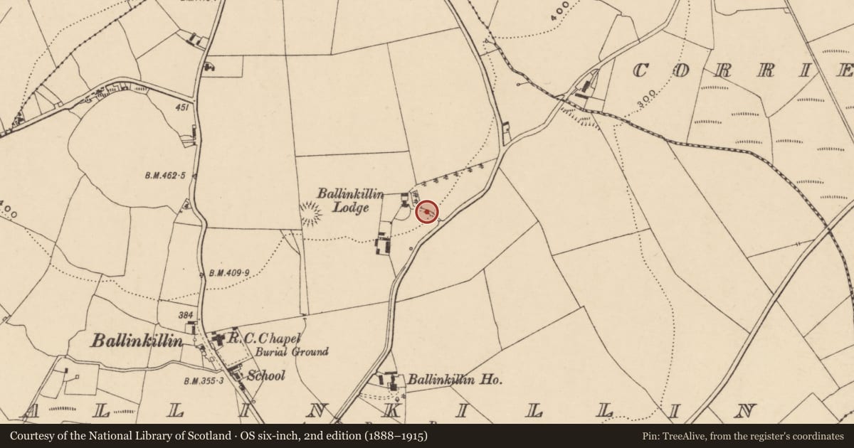 Ordnance Survey six-inch map, 2nd edition (1888–1915) covering the location of Rock art (present location), Ballinkillin, County Carlow, with a pin at the register's coordinates