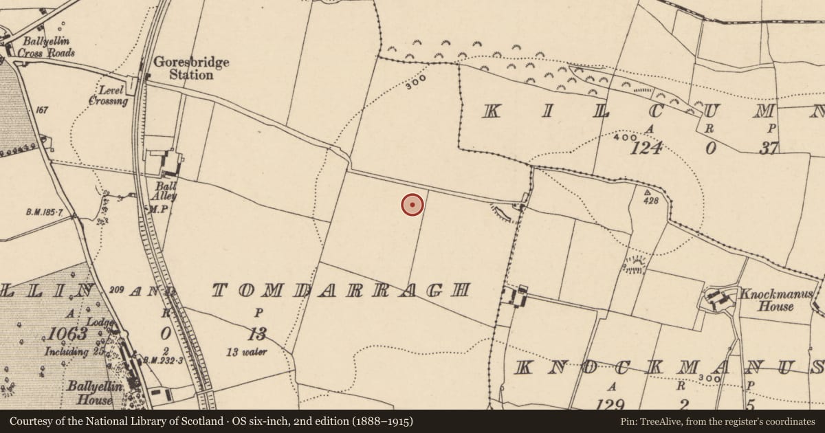 Ordnance Survey six-inch map, 2nd edition (1888–1915) covering the location of Standing stone, Ballyellin And Tomdarragh, County Carlow, with a pin at the register's coordinates