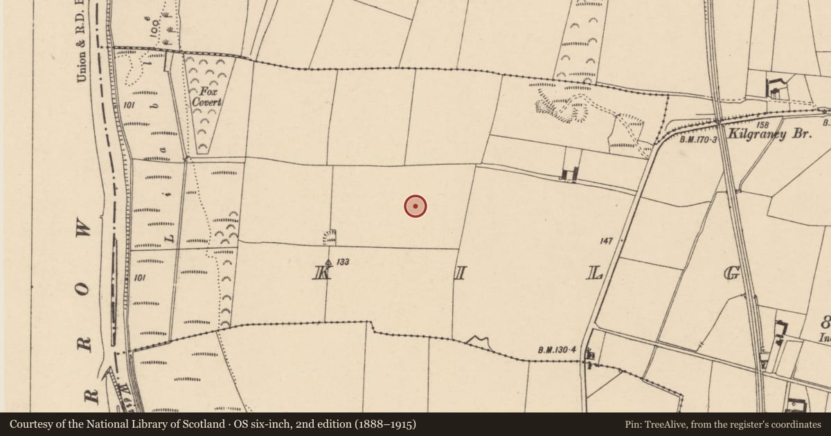 Ordnance Survey six-inch map, 2nd edition (1888–1915) covering the location of Ring-ditch, Kilgraney, County Carlow, with a pin at the register's coordinates