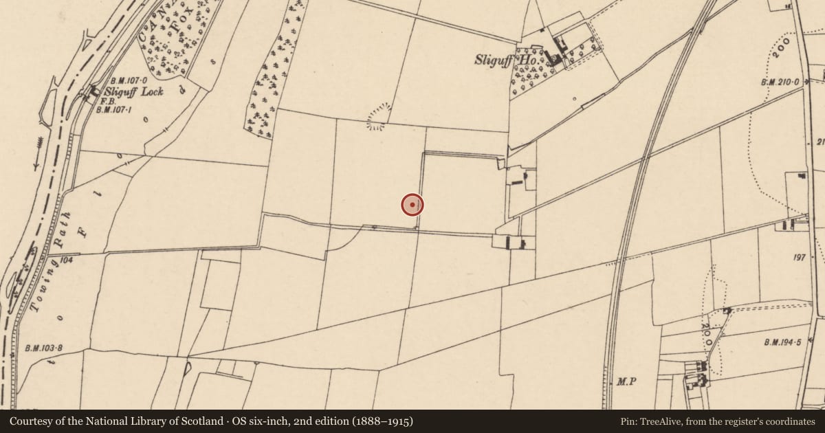 Ordnance Survey six-inch map, 2nd edition (1888–1915) covering the location of Enclosure, Sliguff, County Carlow, with a pin at the register's coordinates