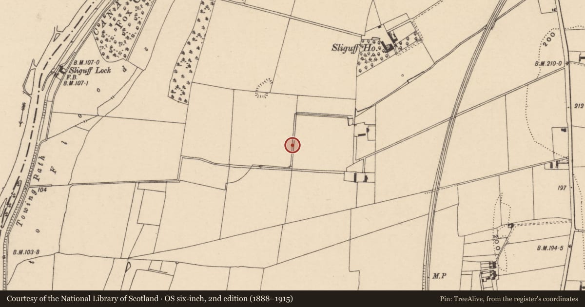 Ordnance Survey six-inch map, 2nd edition (1888–1915) covering the location of Enclosure, Sliguff, County Carlow, with a pin at the register's coordinates