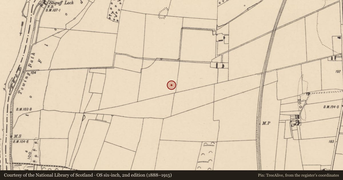 Ordnance Survey six-inch map, 2nd edition (1888–1915) covering the location of Enclosure, Sliguff, County Carlow, with a pin at the register's coordinates