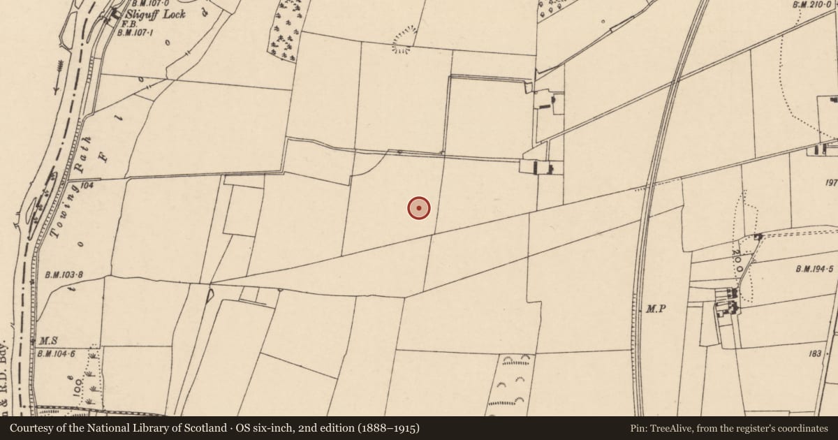 Ordnance Survey six-inch map, 2nd edition (1888–1915) covering the location of Enclosure, Sliguff, County Carlow, with a pin at the register's coordinates