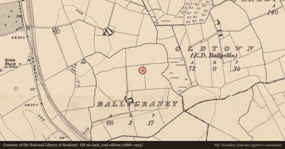 Ordnance Survey six-inch map, 2nd edition (1888–1915) covering the location of Megalithic tomb - portal tomb, Ballygraney, County Carlow, with a pin at the register's coordinates