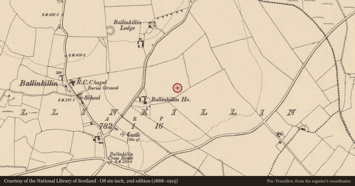 Ordnance Survey six-inch map, 2nd edition (1888–1915) covering the location of Rock art, Ballinkillin, County Carlow, with a pin at the register's coordinates