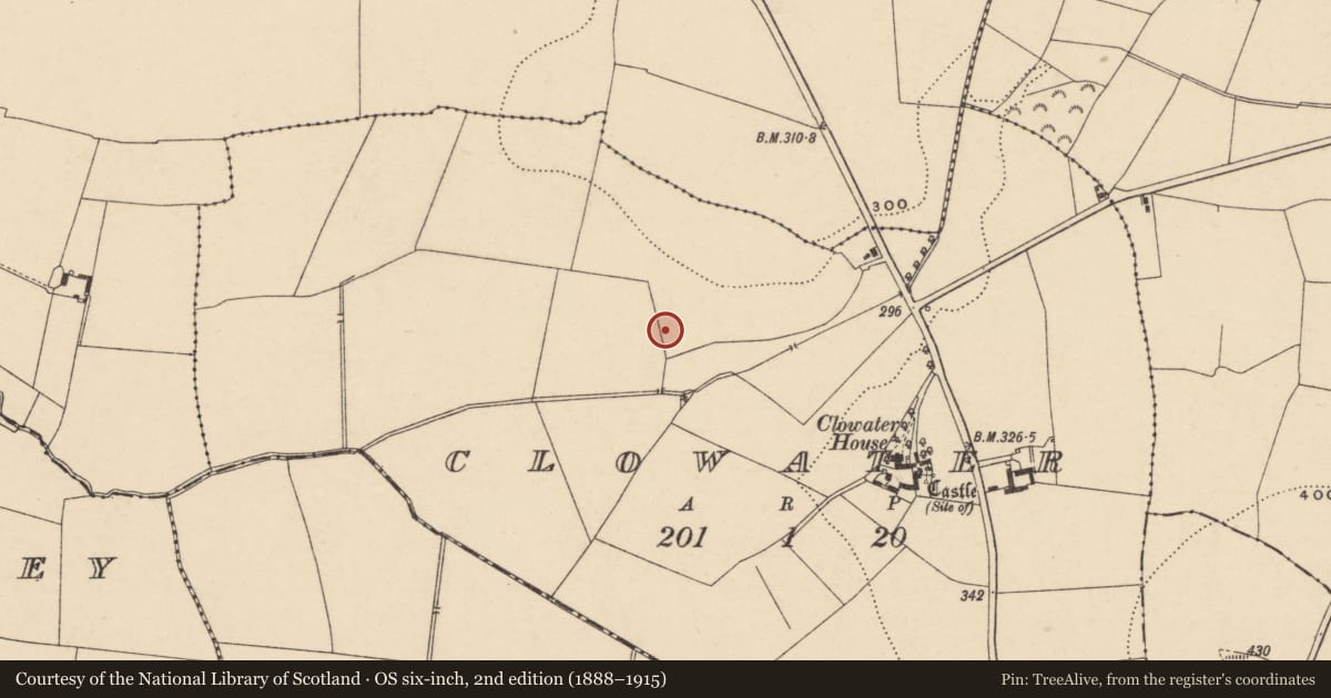 Ordnance Survey six-inch map, 2nd edition (1888–1915) covering the location of Enclosure, Clowater, County Carlow, with a pin at the register's coordinates