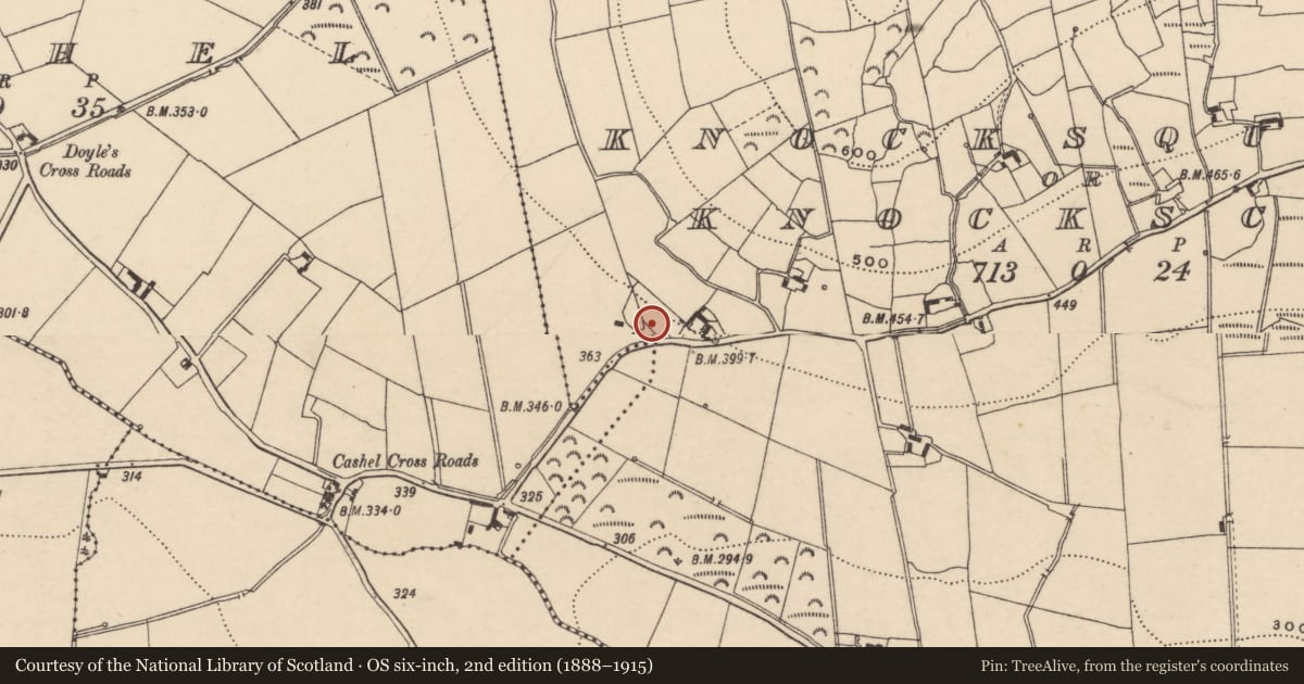 Ordnance Survey six-inch map, 2nd edition (1888–1915) covering the location of Rock art, Knocksquire Or Knockscur, County Carlow, with a pin at the register's coordinates