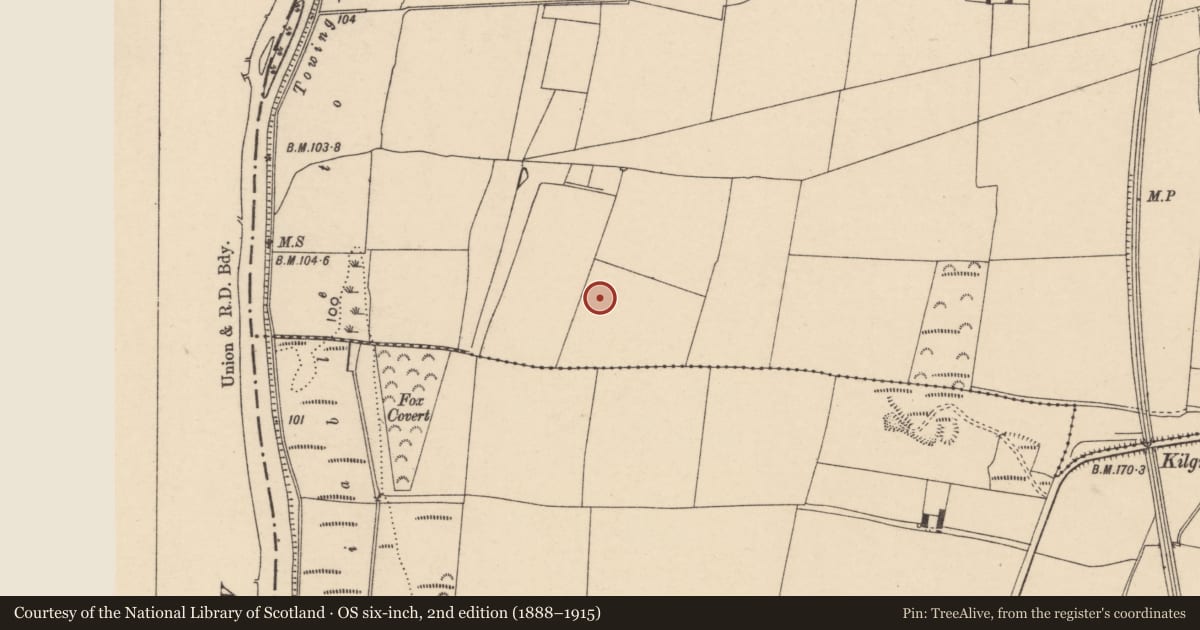Ordnance Survey six-inch map, 2nd edition (1888–1915) covering the location of Burial ground, Sliguff, County Carlow, with a pin at the register's coordinates
