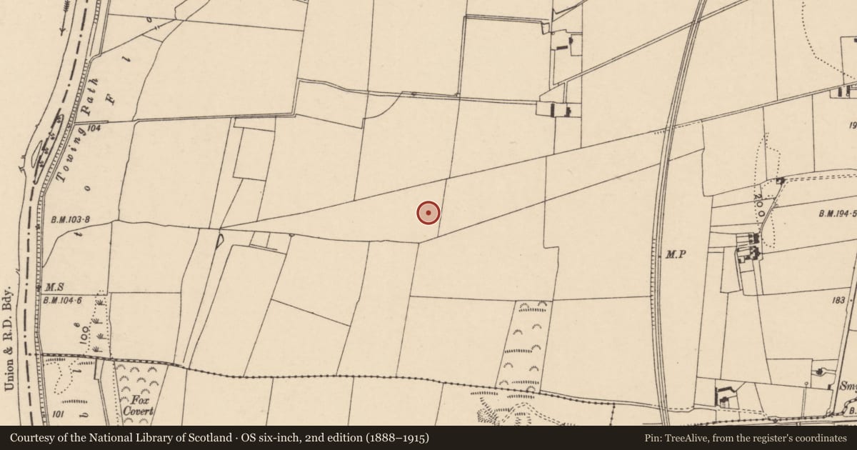 Ordnance Survey six-inch map, 2nd edition (1888–1915) covering the location of Ring-ditch, Sliguff, County Carlow, with a pin at the register's coordinates