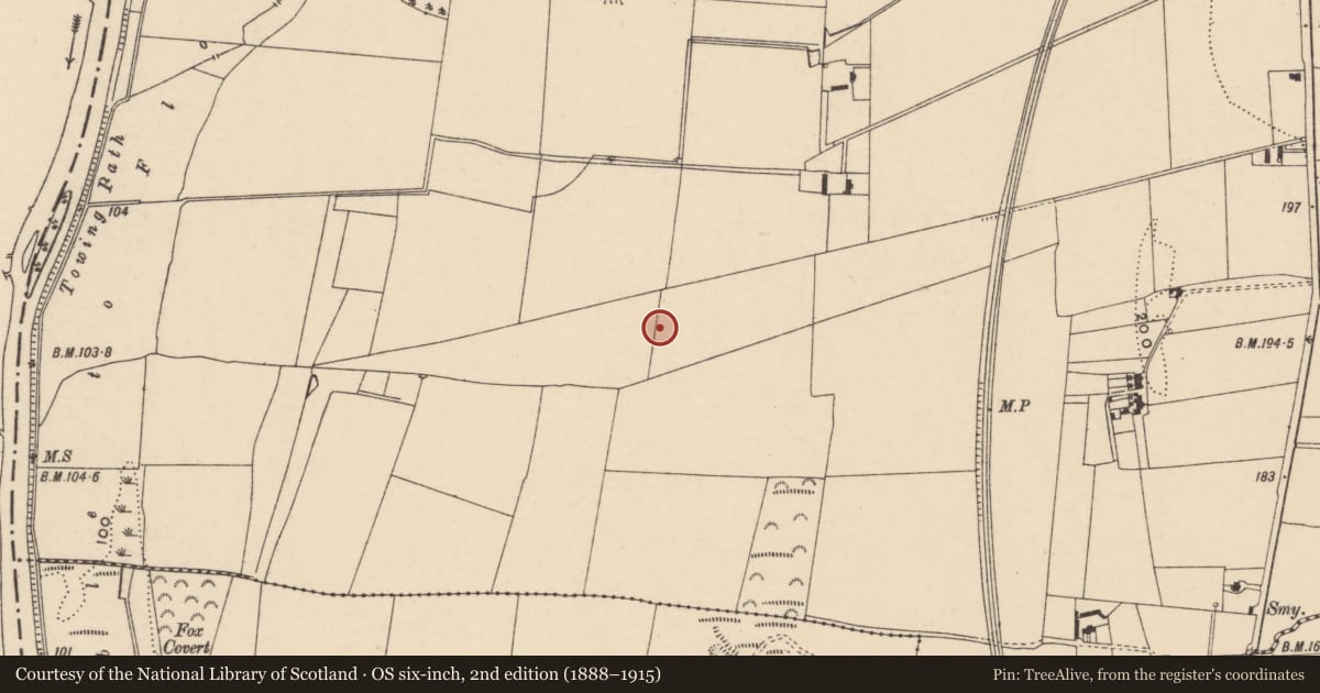 Ordnance Survey six-inch map, 2nd edition (1888–1915) covering the location of Ring-ditch, Sliguff, County Carlow, with a pin at the register's coordinates