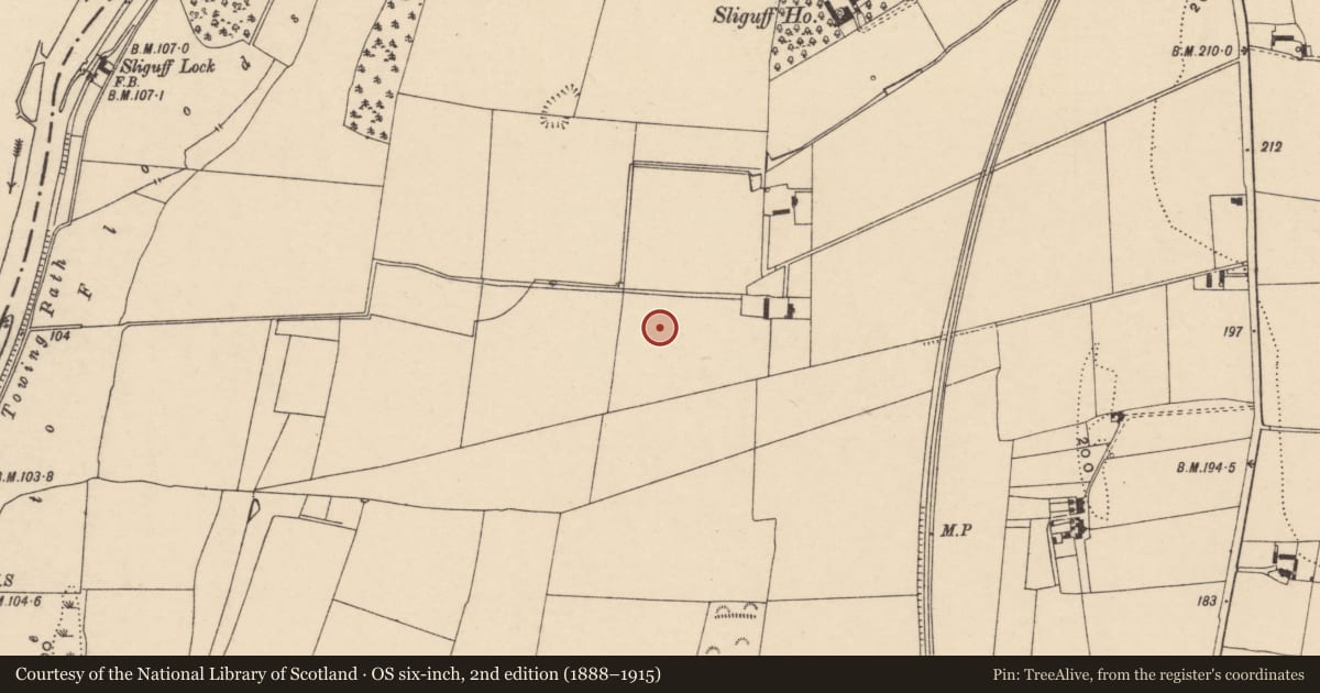 Ordnance Survey six-inch map, 2nd edition (1888–1915) covering the location of Ring-ditch, Sliguff, County Carlow, with a pin at the register's coordinates
