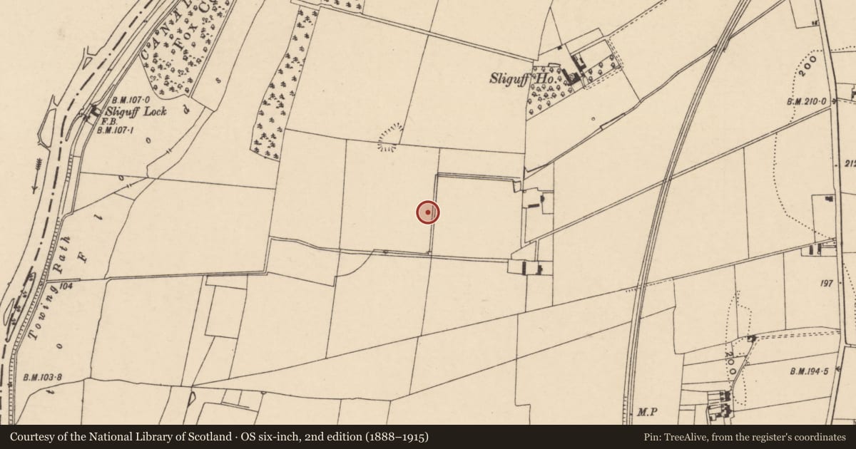 Ordnance Survey six-inch map, 2nd edition (1888–1915) covering the location of Field system, Sliguff, County Carlow, with a pin at the register's coordinates
