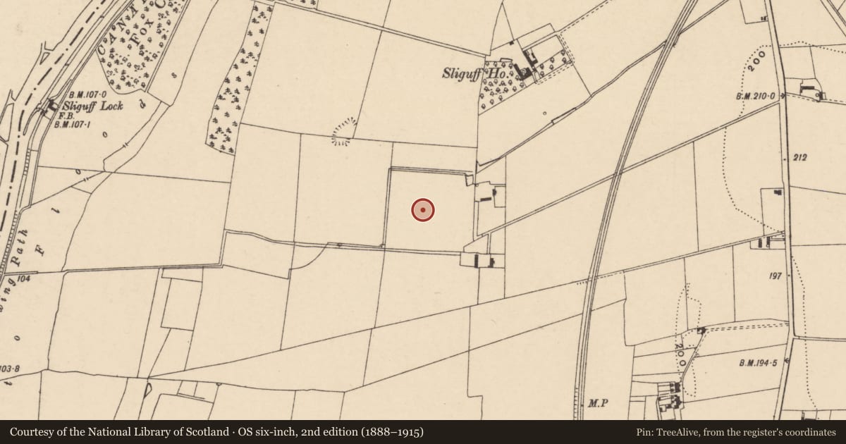 Ordnance Survey six-inch map, 2nd edition (1888–1915) covering the location of Field system, Sliguff, County Carlow, with a pin at the register's coordinates