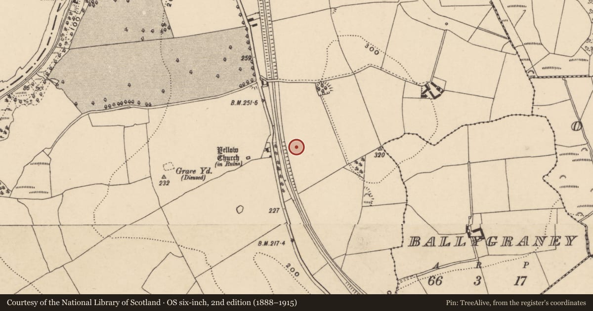 Ordnance Survey six-inch map, 2nd edition (1888–1915) covering the location of Enclosure, Ballyellin And Tomdarragh, County Carlow, with a pin at the register's coordinates