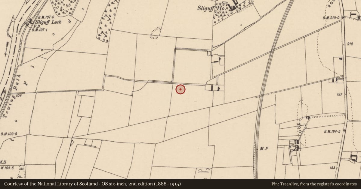Ordnance Survey six-inch map, 2nd edition (1888–1915) covering the location of Ring-ditch, Sliguff, County Carlow, with a pin at the register's coordinates