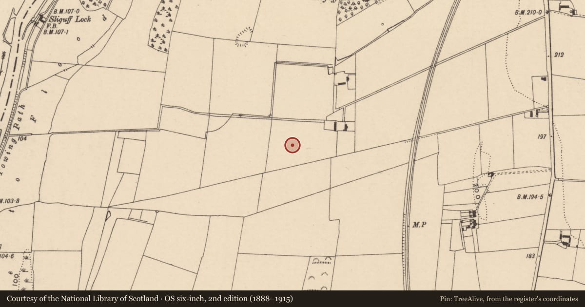 Ordnance Survey six-inch map, 2nd edition (1888–1915) covering the location of Ring-ditch, Sliguff, County Carlow, with a pin at the register's coordinates
