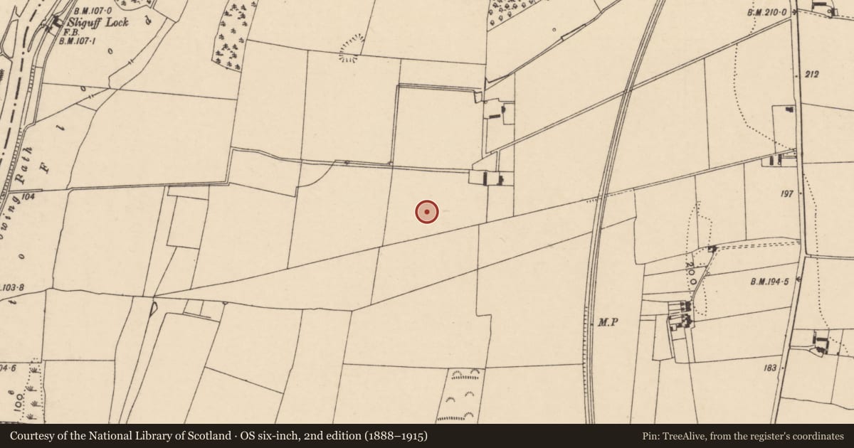 Ordnance Survey six-inch map, 2nd edition (1888–1915) covering the location of Ring-ditch, Sliguff, County Carlow, with a pin at the register's coordinates