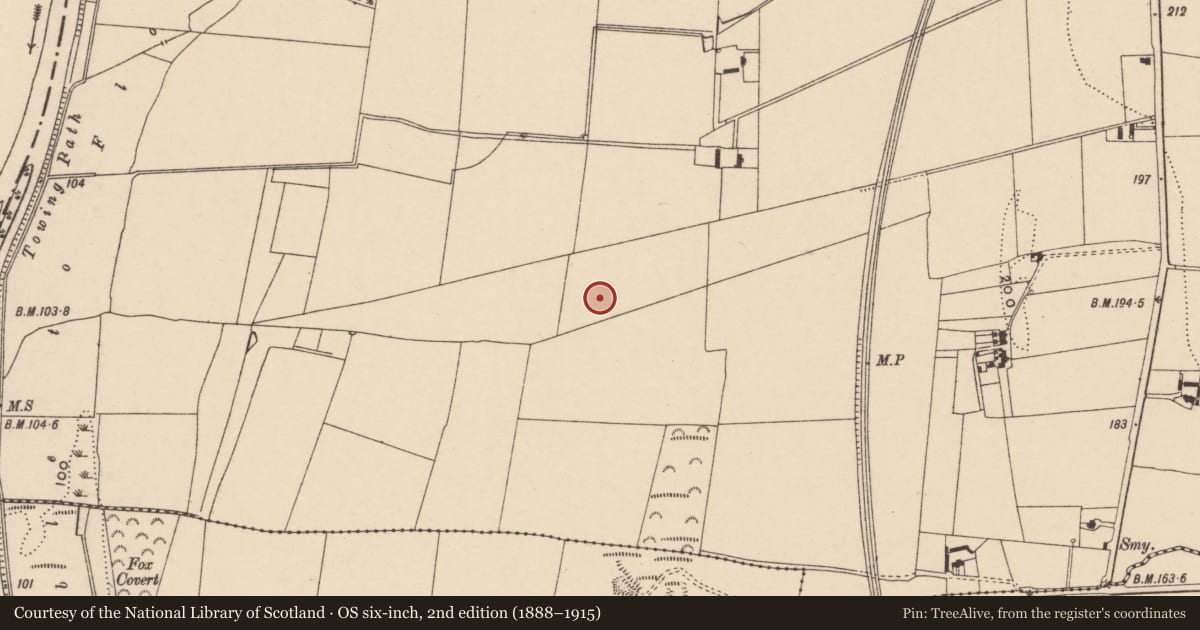 Ordnance Survey six-inch map, 2nd edition (1888–1915) covering the location of Ring-ditch, Sliguff, County Carlow, with a pin at the register's coordinates
