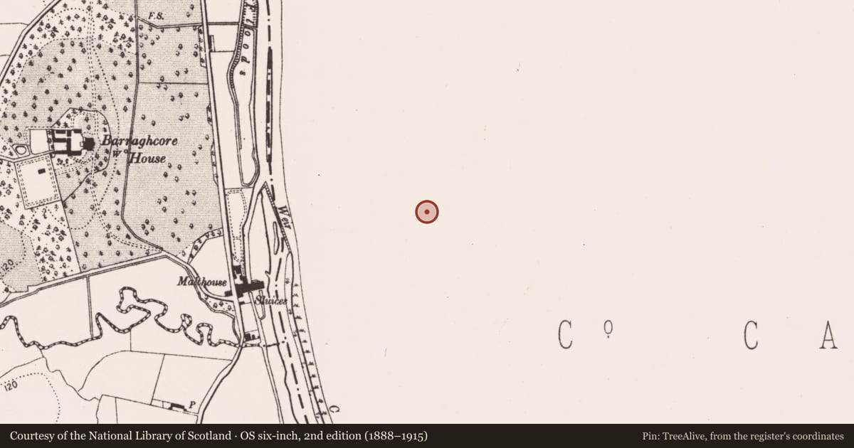 Ordnance Survey six-inch map, 2nd edition (1888–1915) covering the location of Ring-ditch, Kilgraney, County Carlow, with a pin at the register's coordinates