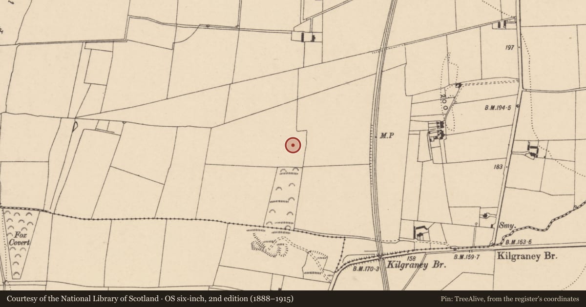 Ordnance Survey six-inch map, 2nd edition (1888–1915) covering the location of Enclosure, Sliguff, County Carlow, with a pin at the register's coordinates