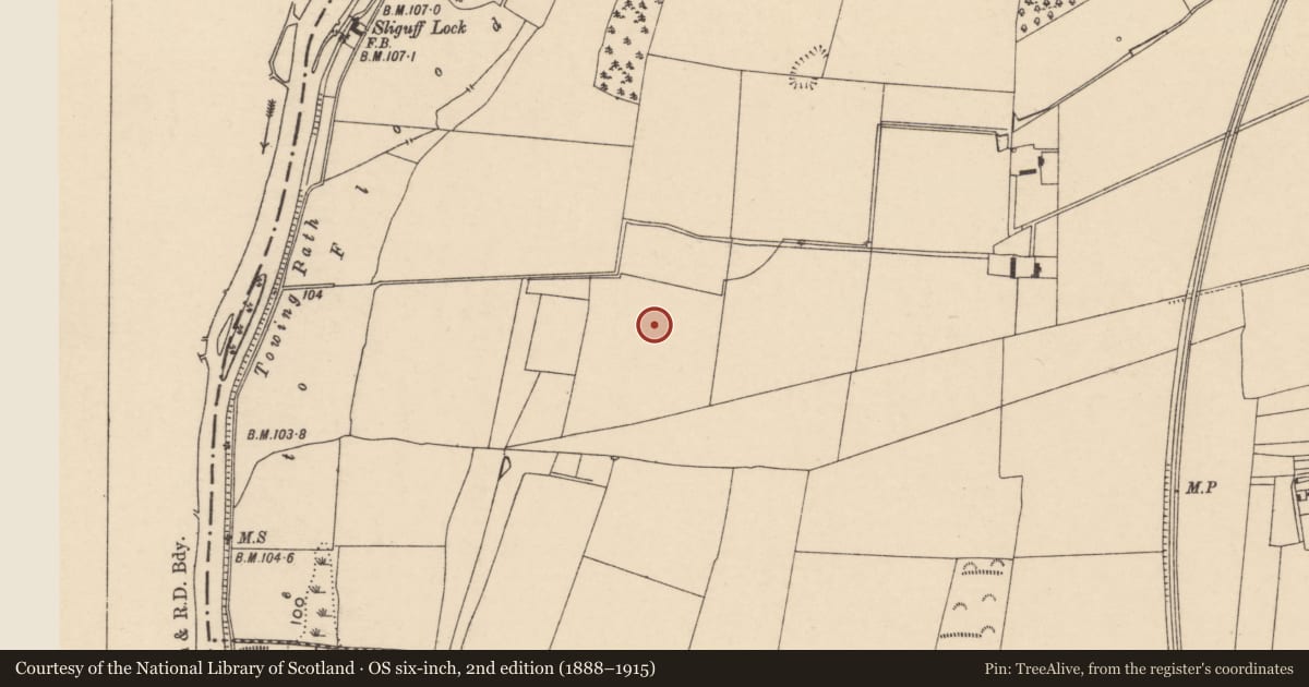 Ordnance Survey six-inch map, 2nd edition (1888–1915) covering the location of Ring-ditch, Sliguff, County Carlow, with a pin at the register's coordinates