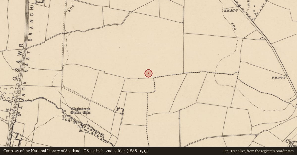 Ordnance Survey six-inch map, 2nd edition (1888–1915) covering the location of Ring-ditch, Kilgraney, County Carlow, with a pin at the register's coordinates