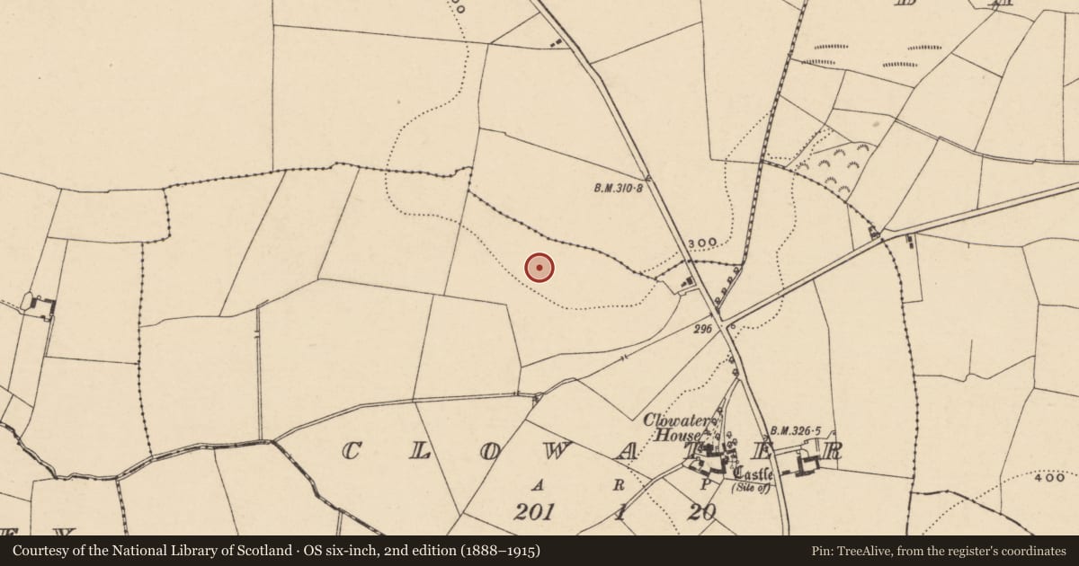 Ordnance Survey six-inch map, 2nd edition (1888–1915) covering the location of Road - road/trackway, Clowater, County Carlow, with a pin at the register's coordinates