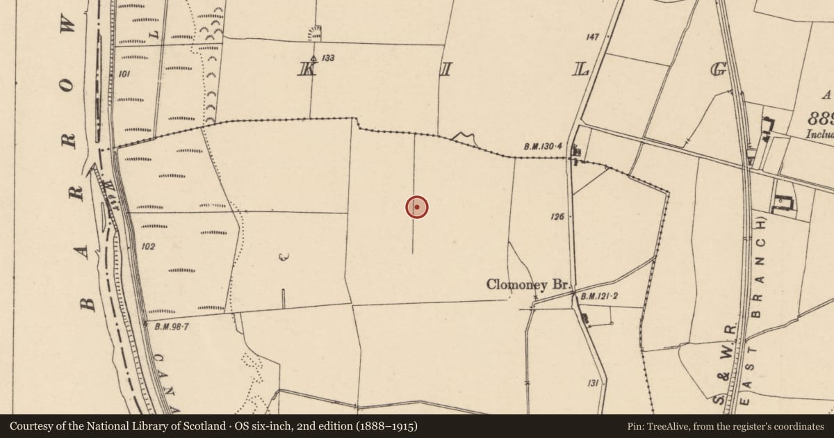 Ordnance Survey six-inch map, 2nd edition (1888–1915) covering the location of Road - road/trackway, Kilgraney, County Carlow, with a pin at the register's coordinates
