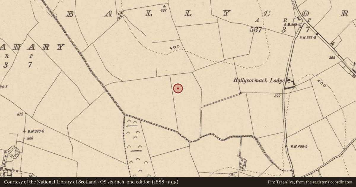 Ordnance Survey six-inch map, 2nd edition (1888–1915) covering the location of Road - road/trackway, Ballycormick, County Carlow, with a pin at the register's coordinates