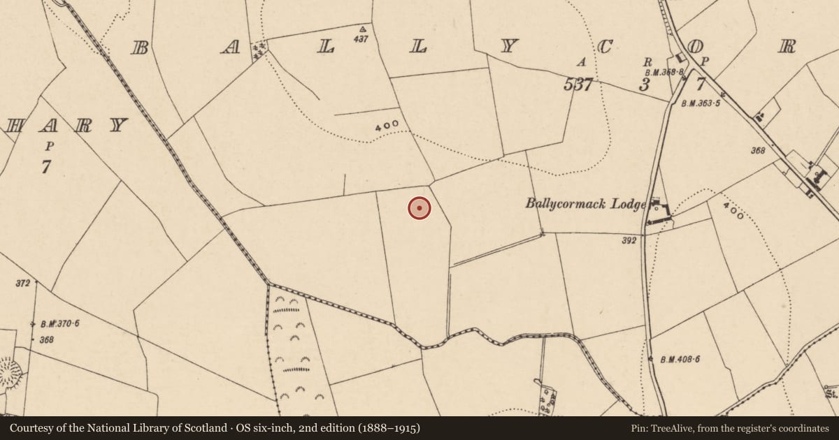 Ordnance Survey six-inch map, 2nd edition (1888–1915) covering the location of Road - road/trackway, Ballycormick, County Carlow, with a pin at the register's coordinates