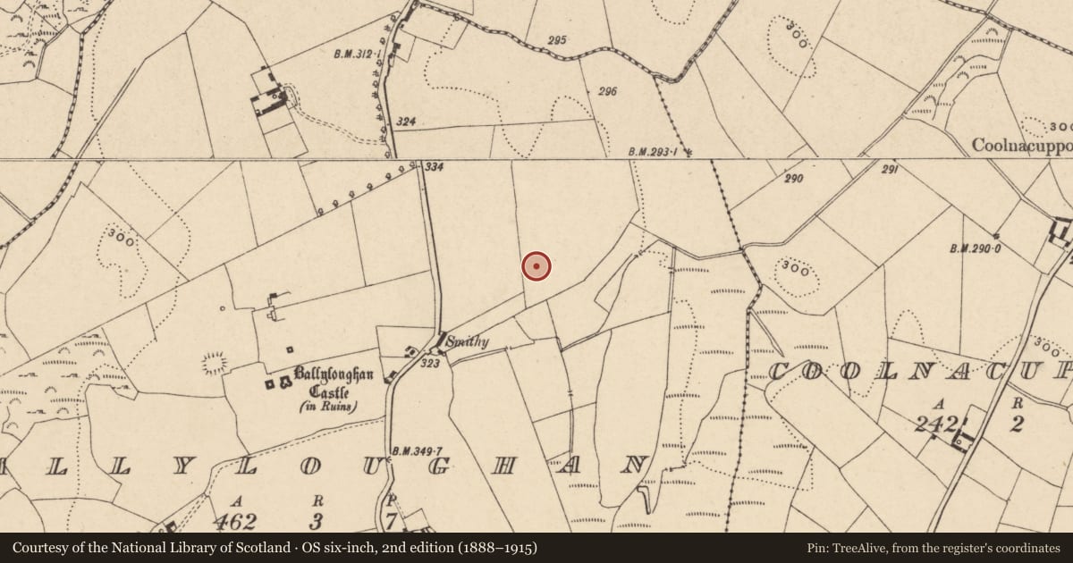 Ordnance Survey six-inch map, 2nd edition (1888–1915) covering the location of Enclosure, Ballyloughan, County Carlow, with a pin at the register's coordinates